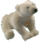 Ice`Bear